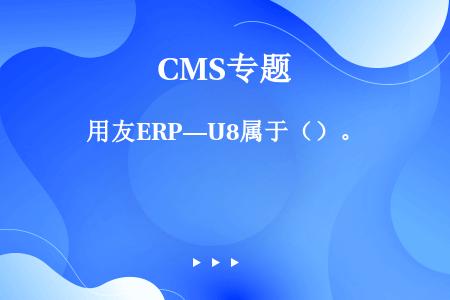 用友ERP—U8属于（）。