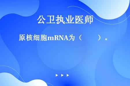 原核细胞mRNA为（　　）。