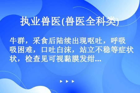 牛群，采食后陆续出现呕吐，呼吸困难，口吐白沫，站立不稳等症状，检查见可视黏膜发绀，末梢部位冰冷，体温...