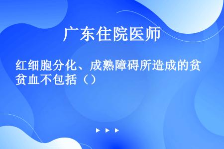 红细胞分化、成熟障碍所造成的贫血不包括（）