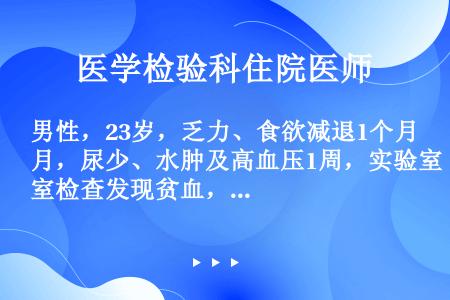 男性，23岁，乏力、食欲减退1个月，尿少、水肿及高血压1周，实验室检查发现贫血，血尿、蛋白尿，补体C...