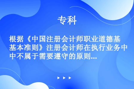 根据《中国注册会计师职业道德基本准则》注册会计师在执行业务中不属于需要遵守的原则是（）。