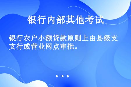 银行农户小额贷款原则上由县级支行或营业网点审批。