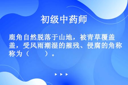 鹿角自然脱落于山地，被青草覆盖，受风雨潮湿的摧残、侵腐的角称为（　　）。