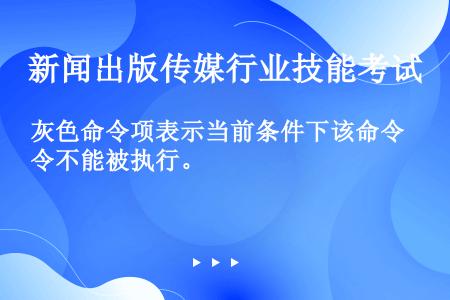 灰色命令项表示当前条件下该命令不能被执行。