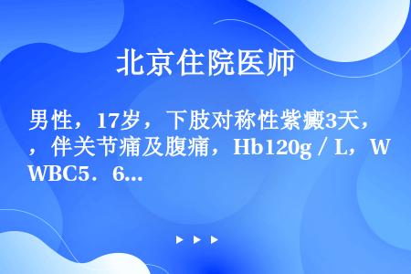 男性，17岁，下肢对称性紫癜3天，伴关节痛及腹痛，Hb120g／L，WBC5．6×10／L，PLT1...