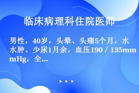 男性，40岁，头晕、头痛5个月，水肿、少尿1月余，血压190／135mmHg，全身水肿，尿蛋白+++...