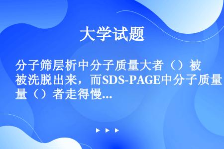 分子筛层析中分子质量大者（）被洗脱出来，而SDS-PAGE中分子质量（）者走得慢。