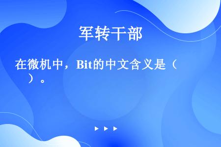 在微机中，Bit的中文含义是（　　）。