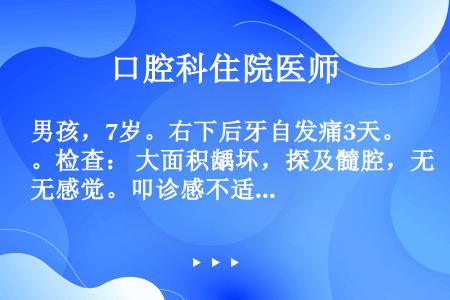 男孩，7岁。右下后牙自发痛3天。检查： 大面积龋坏，探及髓腔，无感觉。叩诊感不适，Ⅰ°松动，颊侧有瘘...