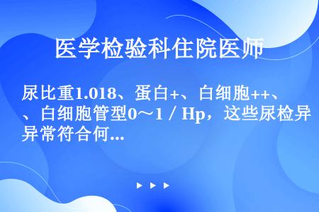 尿比重1.018、蛋白+、白细胞++、白细胞管型0～1／Hp，这些尿检异常符合何种肾病（）