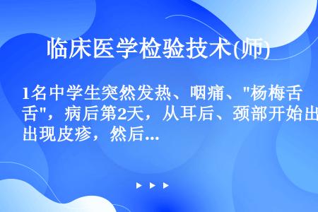 1名中学生突然发热、咽痛、杨梅舌，病后第2天，从耳后、颈部开始出现皮疹，然后出现全身弥漫性鲜红色皮疹...