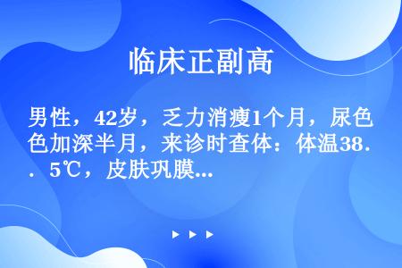 男性，42岁，乏力消瘦1个月，尿色加深半月，来诊时查体：体温38．5℃，皮肤巩膜轻度黄染，颈部蜘蛛痣...