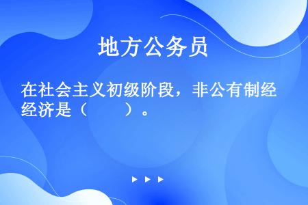 在社会主义初级阶段，非公有制经济是（　　）。