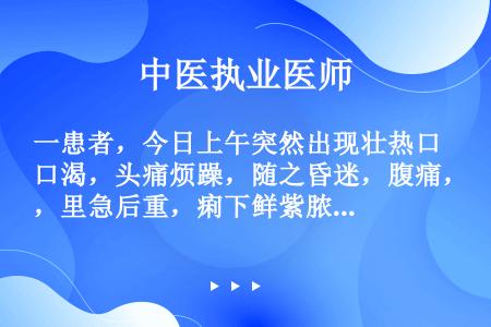 一患者，今日上午突然出现壮热口渴，头痛烦躁，随之昏迷，腹痛，里急后重，痢下鲜紫脓血，舌质红绛，苔黄燥...