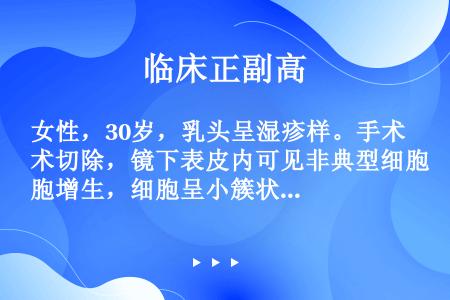 女性，30岁，乳头呈湿疹样。手术切除，镜下表皮内可见非典型细胞增生，细胞呈小簇状分布，中央密集(如图...