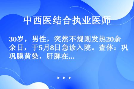 30岁，男性，突然不规则发热20余日，于5月8日急诊入院。查体：巩膜黄染，肝脾在肋下1.0cm。血白...