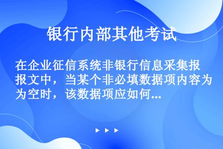 在企业征信系统非银行信息采集报文中，当某个非必填数据项内容为空时，该数据项应如何填写？（）