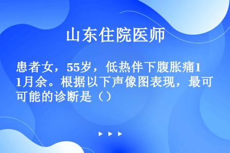 患者女，55岁，低热伴下腹胀痛1月余。根据以下声像图表现，最可能的诊断是（）