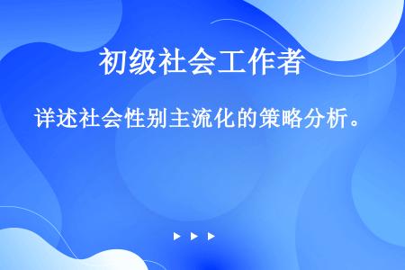 详述社会性别主流化的策略分析。