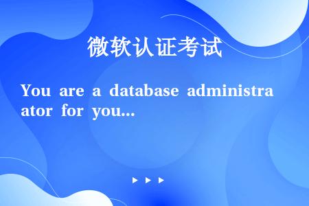 You are a database administrator for your company....