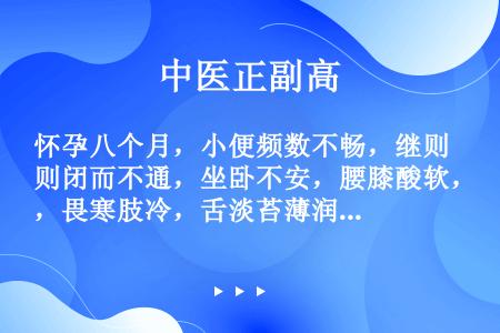 怀孕八个月，小便频数不畅，继则闭而不通，坐卧不安，腰膝酸软，畏寒肢冷，舌淡苔薄润，脉沉滑无力。其治疗...