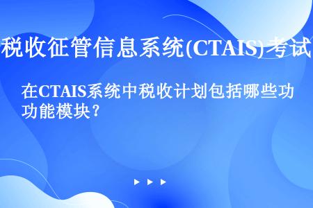 在CTAIS系统中税收计划包括哪些功能模块？