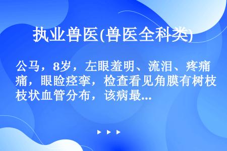 公马，8岁，左眼羞明、流泪、疼痛，眼睑痉挛，检查看见角膜有树枝状血管分布，该病最可能是（）