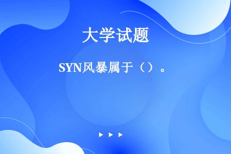 SYN风暴属于（）。