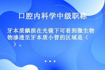 牙本质龋损在光镜下可看到微生物渗透至牙本质小管的区域是（　　）。