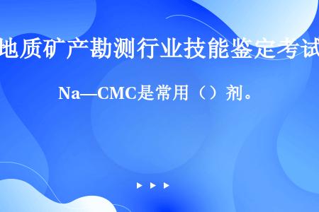 Na—CMC是常用（）剂。