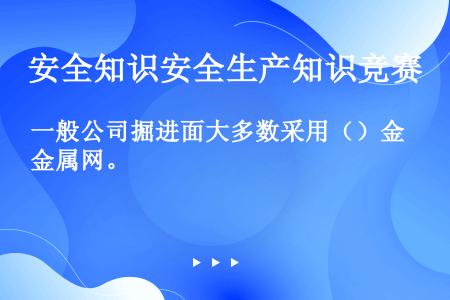 一般公司掘进面大多数采用（）金属网。