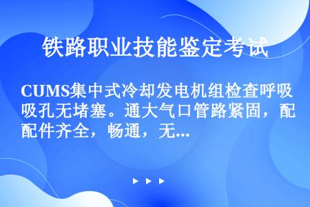 CUMS集中式冷却发电机组检查呼吸孔无堵塞。通大气口管路紧固，配件齐全，畅通，无堵塞，无渗漏。