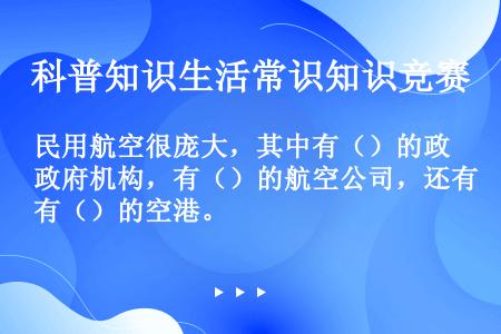 民用航空很庞大，其中有（）的政府机构，有（）的航空公司，还有（）的空港。