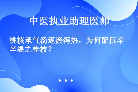 桃核承气汤逐瘀泻热，为何配伍辛温之桂枝？