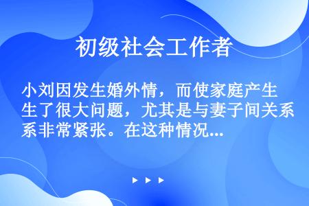 小刘因发生婚外情，而使家庭产生了很大问题，尤其是与妻子间关系非常紧张。在这种情况下，小刘找到了社会工...