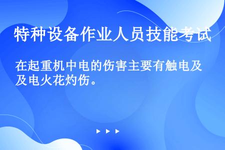 在起重机中电的伤害主要有触电及电火花灼伤。