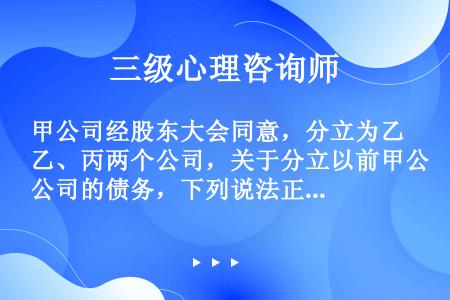 甲公司经股东大会同意，分立为乙、丙两个公司，关于分立以前甲公司的债务，下列说法正确的是（）。