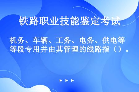 机务、车辆、工务、电务、供电等段专用并由其管理的线路指（）。