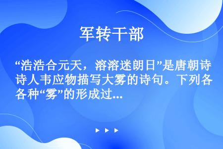 “浩浩合元天，溶溶迷朗日”是唐朝诗人韦应物描写大雾的诗句。下列各种“雾”的形成过程不属于物理变化的是...
