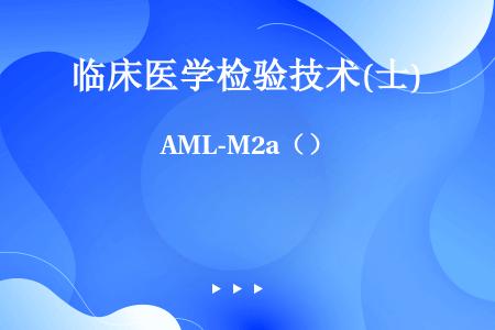 AML-M2a（）
