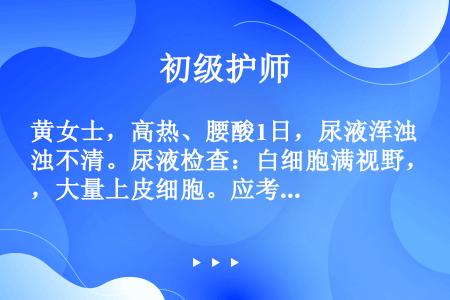 黄女士，高热、腰酸1日，尿液浑浊不清。尿液检查：白细胞满视野，大量上皮细胞。应考虑（　　）。