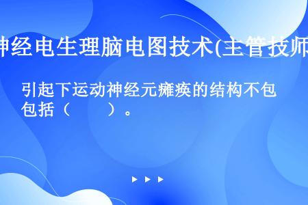 引起下运动神经元瘫痪的结构不包括（　　）。