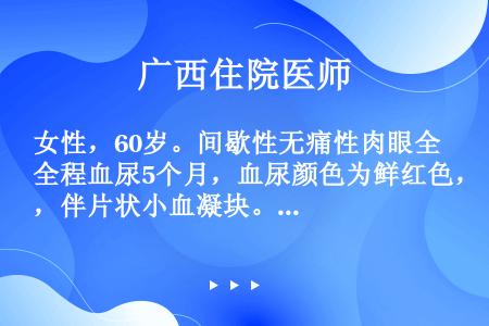 女性，60岁。间歇性无痛性肉眼全程血尿5个月，血尿颜色为鲜红色，伴片状小血凝块。术后随访最重要的措施...