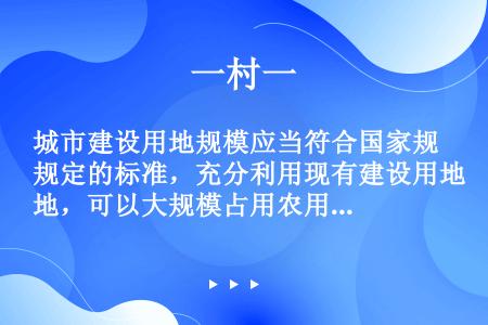 城市建设用地规模应当符合国家规定的标准，充分利用现有建设用地，可以大规模占用农用地。