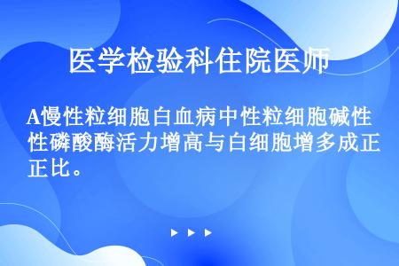 A慢性粒细胞白血病中性粒细胞碱性磷酸酶活力增高与白细胞增多成正比。