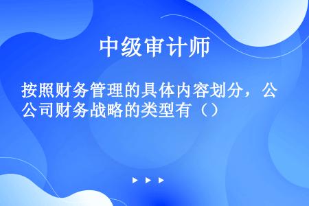 按照财务管理的具体内容划分，公司财务战略的类型有（）