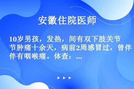 10岁男孩，发热，间有双下肢关节肿痛十余天，病前2周感冒过，曾伴有咽喉痛。体查：发育营养可，颈、下颌...