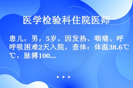 患儿，男，5岁。因发热、咽痛、呼吸困难2天入院，查体：体温38.6℃，脉搏100次／分，咽部可见一层...