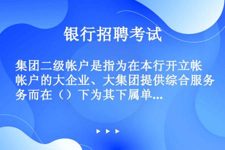 集团二级帐户是指为在本行开立帐户的大企业、大集团提供综合服务而在（）下为其下属单位或部门开立的帐户.